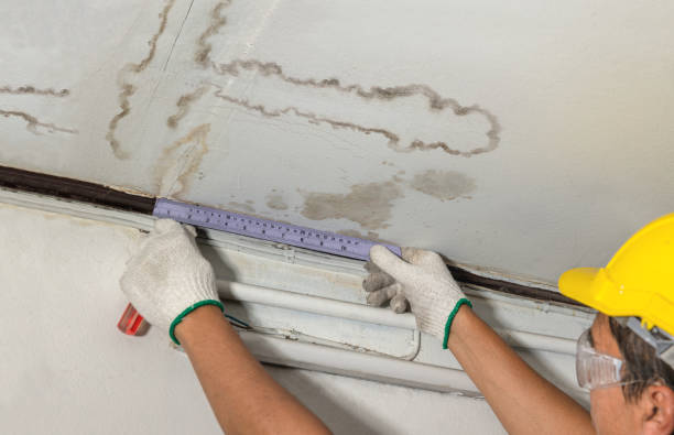 Reliable Water Removal contractor in Georgetown, TX by Water Damage Irwin